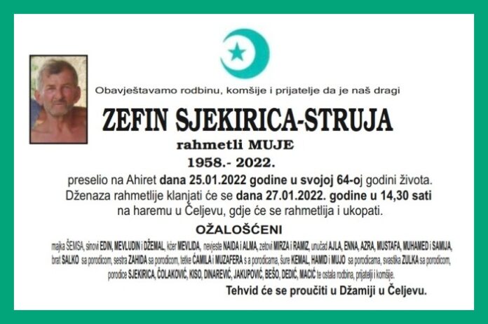 Zefin Sjekirica Struja