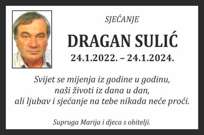 Dragan sulic 2024