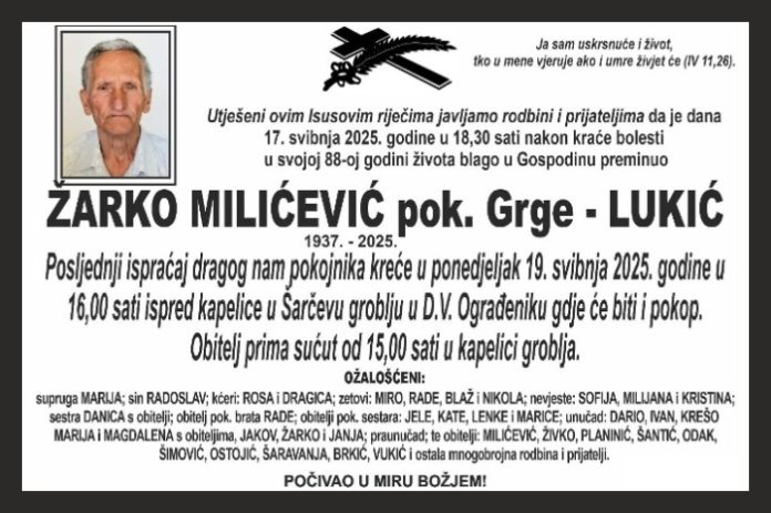 Zarko Milicevic