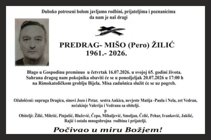 Predrag miso zilic